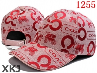 Coach Hat AAA Quality (4)