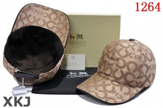 Coach Hat AAA Quality (13)