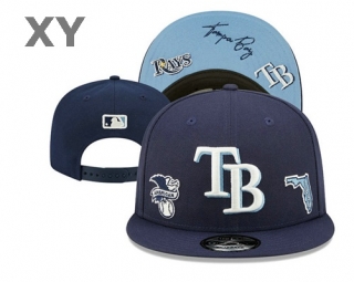 MLB Tampa Bay Rays Snapback Hat (18)